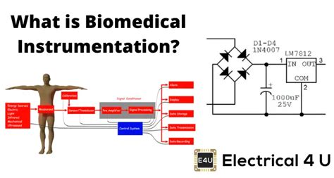 Biomedical Instrumentation: What is it? (An Introduction) | Electrical4U