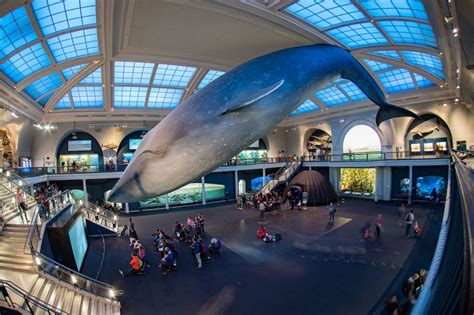Best Natural History Museums in the World