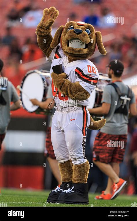 Cleveland browns mascot hi-res stock photography and images - Alamy