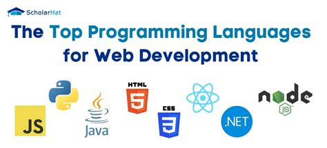 The Top Programming Languages for Web Development