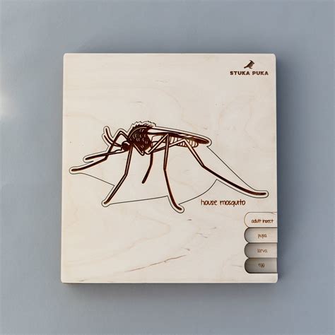 Insects Life Cycle Wooden Puzzle | Playroom Collective