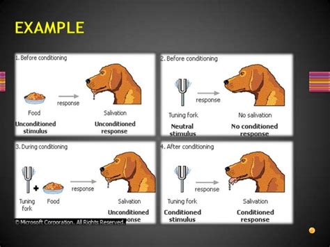 Principles of pavlovian conditioning