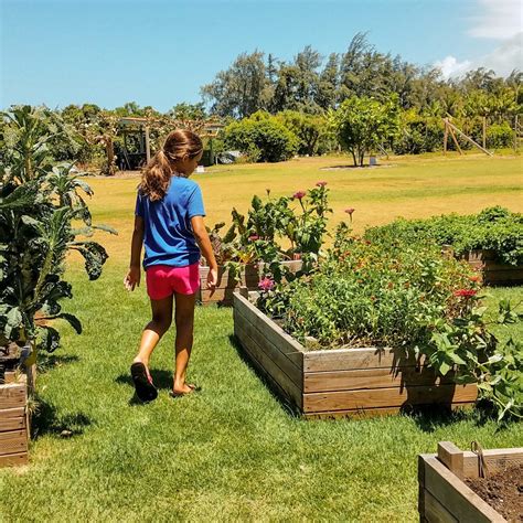 Oahu Family Fun: Kahuku Farms Tour - Aloha Lovely