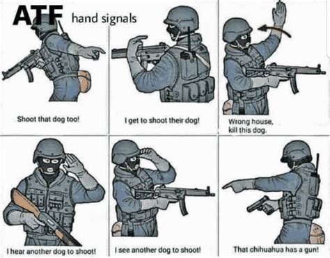 Atf Shoots Dogs Gun GIF - ATF Shoots Dogs Gun - Discover & Share GIFs