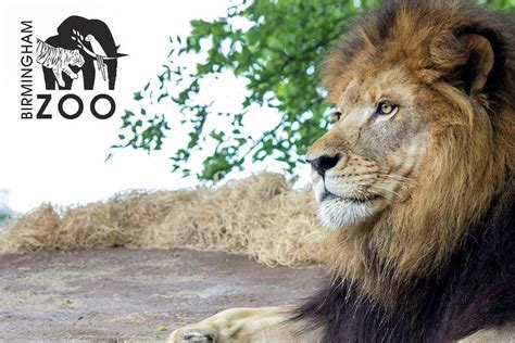 Birmingham Zoo tickets discount | Birmingham | Undercover Tourist