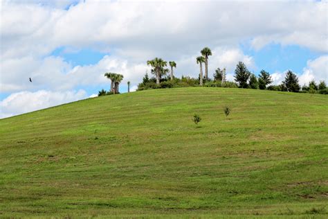 Family Fun: Sarasota Audubon Visitor & Nature Center and Celery Fields