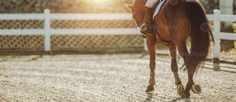 Horse Riding in Sunset 24614074 Stock Photo at Vecteezy