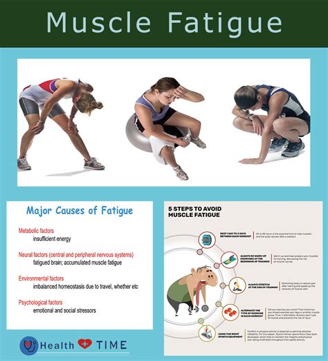 Muscle fatigue | Muscle fatigue, Wellness fitness, Muscle