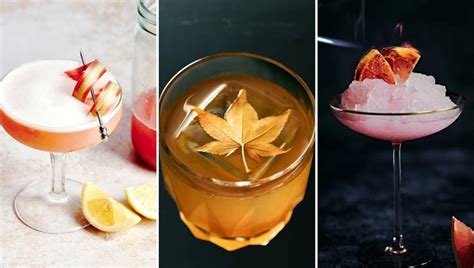 13 Simple Yet Stunning Cocktail Garnish Ideas For Drinks Photos