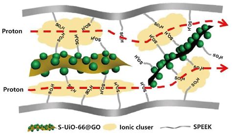 Frontiers | Metal Organic Frameworks Modified Proton Exchange Membranes ...