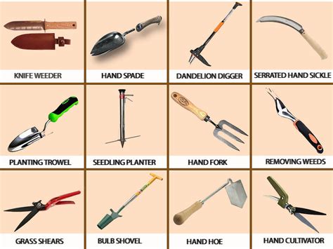 Gardening Hand Tools and Their Uses