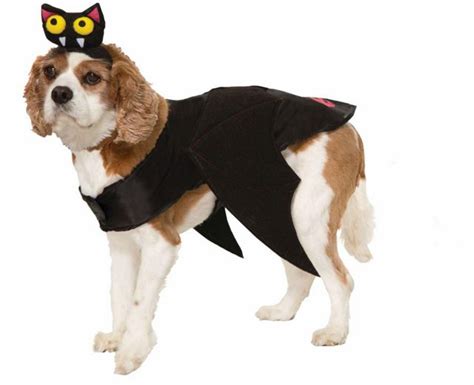 Bat Pet Costume | Urban Outfitters