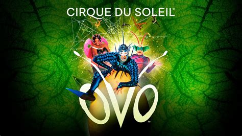 Cirque du Soleil: OVO | Craig Stein Beverage