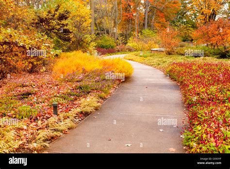 Autumn scenery in the park Stock Photo - Alamy