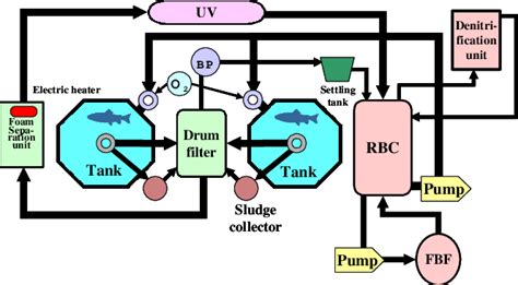 Schematic view of closed recirculating aquaculture system. | Download ...