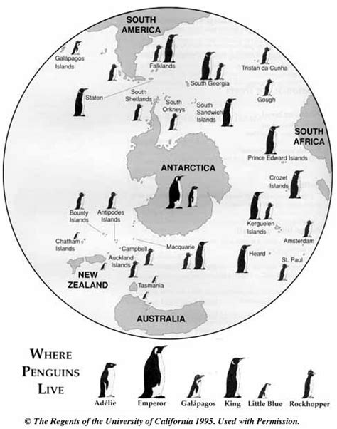 maps of where penguins live | Where Do Penguins Live | World Maps, Etc. | Pinterest | Penguins ...