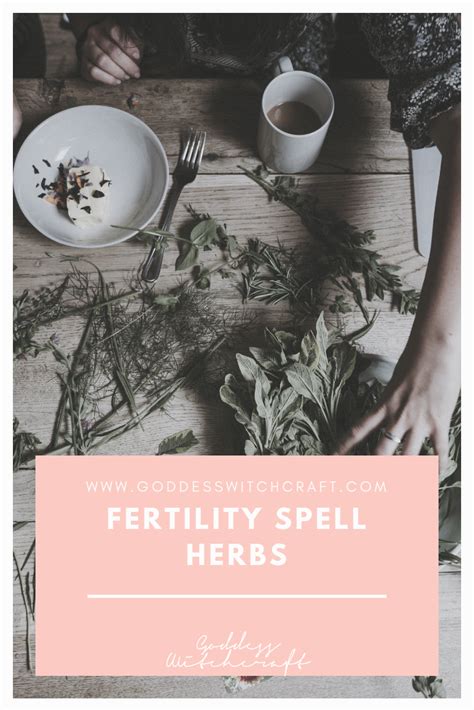 Herbs For Fertility, Fertility Spells, Wicca, Magick, Baby Witch, Money Spells, Goddess Of Love ...