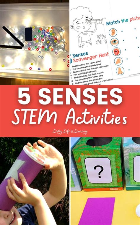 5 Senses STEM Activities