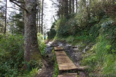 Cape Lookout Trail | Oregon | Hikespeak.com