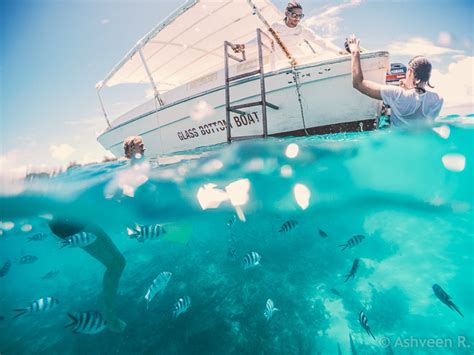 Snorkeling at the Blue Bay Marine Park - Ashveen