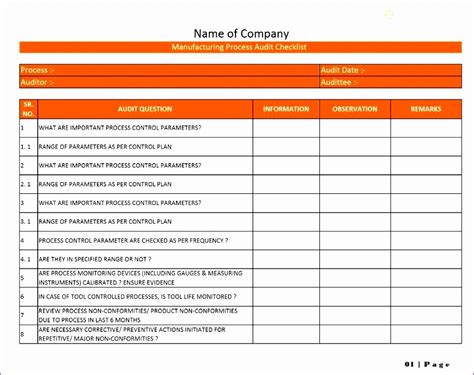 Excel Audit Template