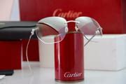 NEW CARTIER Panthere Rimless Eyeglasses Platinum Occhiali Frame Brille Lunettes | shabowhita