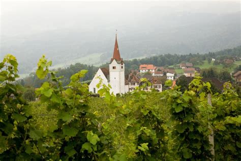 Vineyard and church stock photo. Image of town, steeple - 18561064