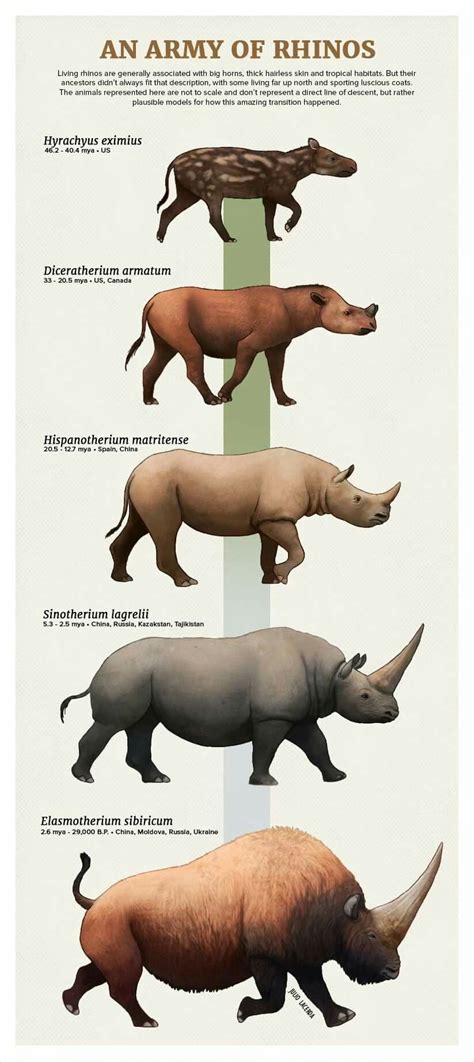 Pin by James Keenan on Evolution | Prehistoric animals, Prehistoric ...