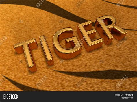 3d Text Word Tiger Image & Photo (Free Trial) | Bigstock