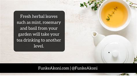 Grow your own tea and spices - Personal Website of Funke Akoni