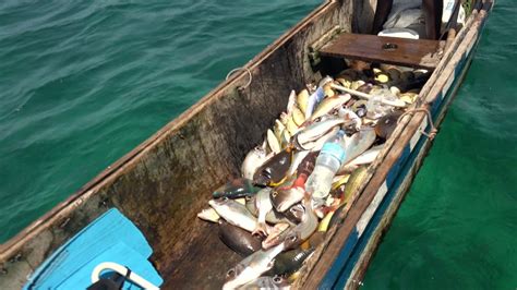 Vanishing Reefs: The Effects of Dynamite Fishing in Tanzania : Never Apart