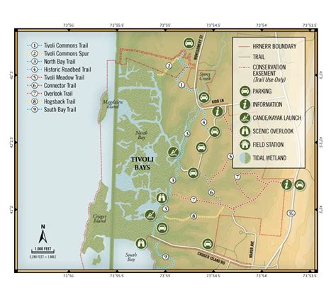 Park & Trail Map Illustration