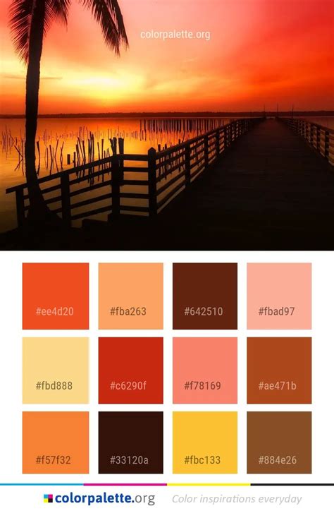 Sunset Sunrise Sky Color Palette | colorpalette.org