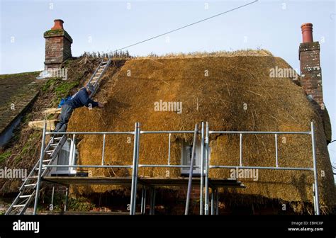 A cottage have a new thatched roof, england Stock Photo - Alamy