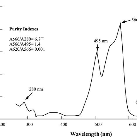 Absorption spectrum of purified R-phycoerythrin. Both the absorption... | Download Scientific ...