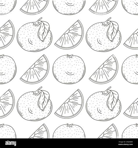 Monochrome pattern with tropical fruits. Grapefruit, red orange. Illustration in hand draw style ...
