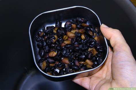 Fermented Black Beans Recipe | Dandk Organizer