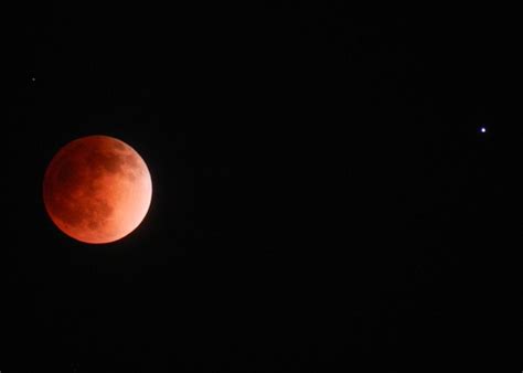 Blood Moon Eclipse Photograph by Katie Ellis - Fine Art America