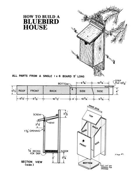 Birdhouse Plan | Bluebird house, Bird house plans, Bird house plans free