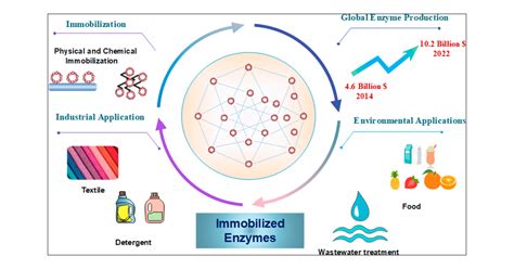 Enzyme Immobilization Technologies and Industrial Applications | ACS Omega