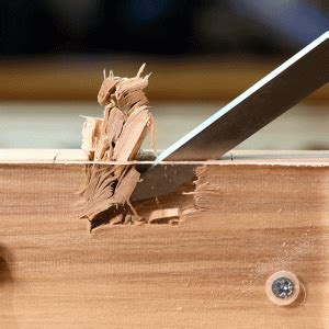 The Best Mortise and Tenon Tools for Your Project | Popular Woodworking