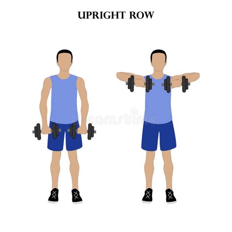 Upright Row with Dumbbells Workout Exercise Vector Illustration Stock Vector - Illustration of ...