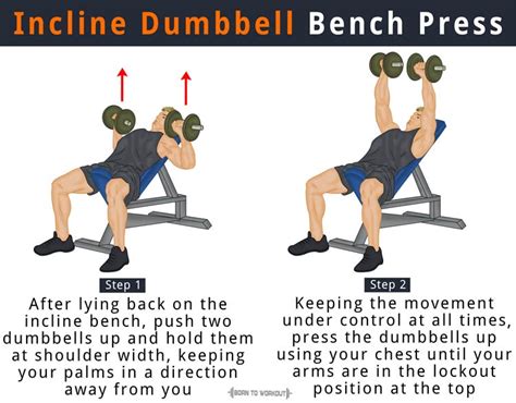 Incline Bench Press: How to do, Benefits, Forms, Muscles Worked