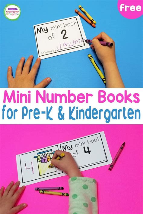 Printable Number Mini-Books for Pre-K & Kindergarten | Kindergarten math activities, Numbers ...