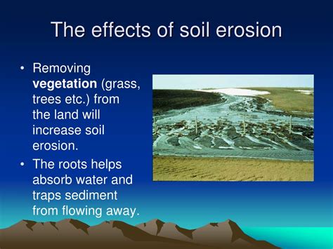 PPT - Preventing Soil Erosion PowerPoint Presentation, free download ...