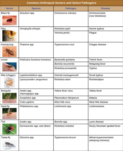 Modes of Disease Transmission · Microbiology