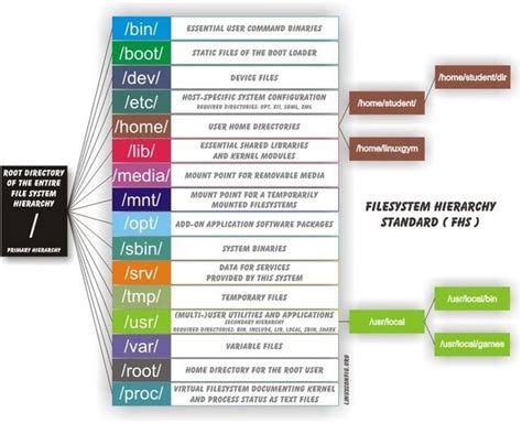 Linux Filesystem Navigation Basics - LinuxConfig