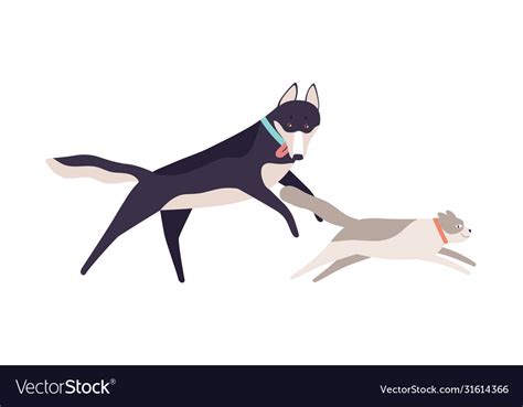 Cute cat running away from funny dog flat Vector Image