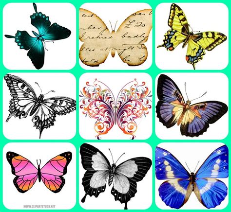 BUTTERFLIES, pretty, art, collage, HD wallpaper | Peakpx