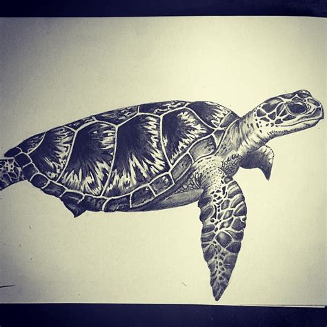 Honu Drawing at GetDrawings | Free download